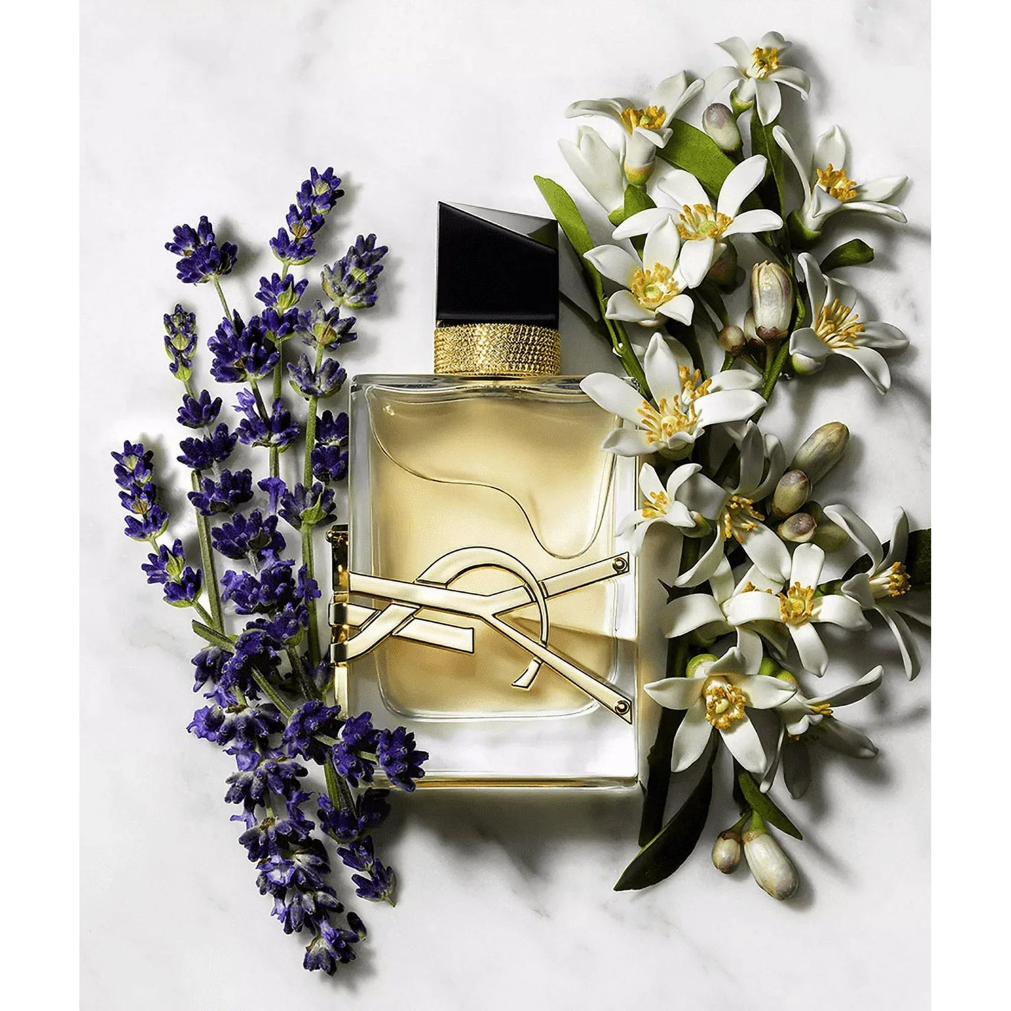 Yves Saint Laurent Libre for Women 90 ml Eau de Parfum 3.0 floz