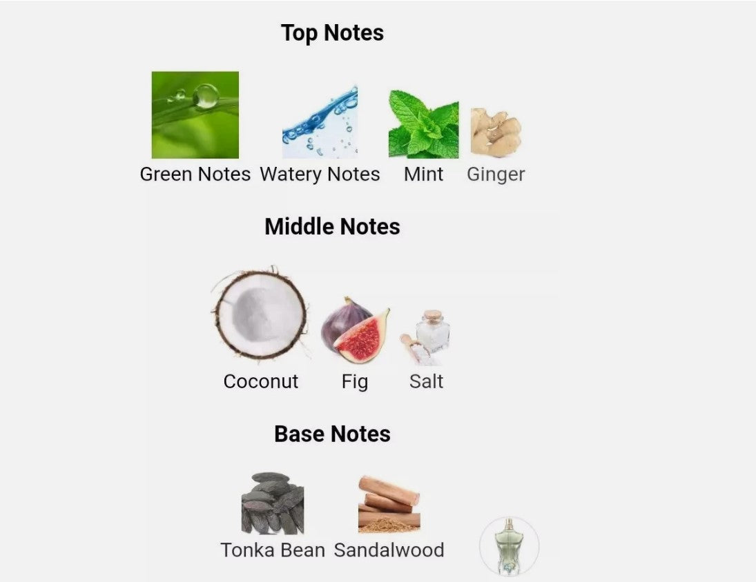 Jean Paul Gaultier Le Beau Paradise Garden 125ml / 4.2oz EDP (Premium Inspired Version – Not Authentic)